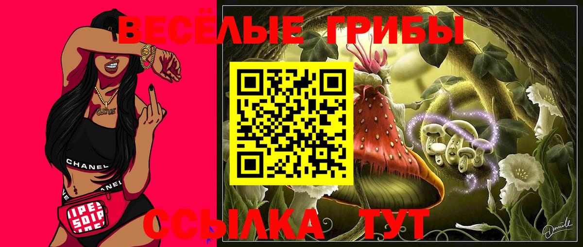 Псилоцибиновые грибы Psilocybine cubensis  Галлюциногенные грибы мицелий  Мурино  наркотики  Вход с VPN 